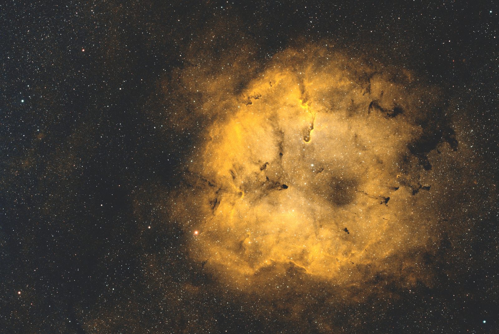 Elephant Trunk Nebula with the Garnet Star (IC 1396)