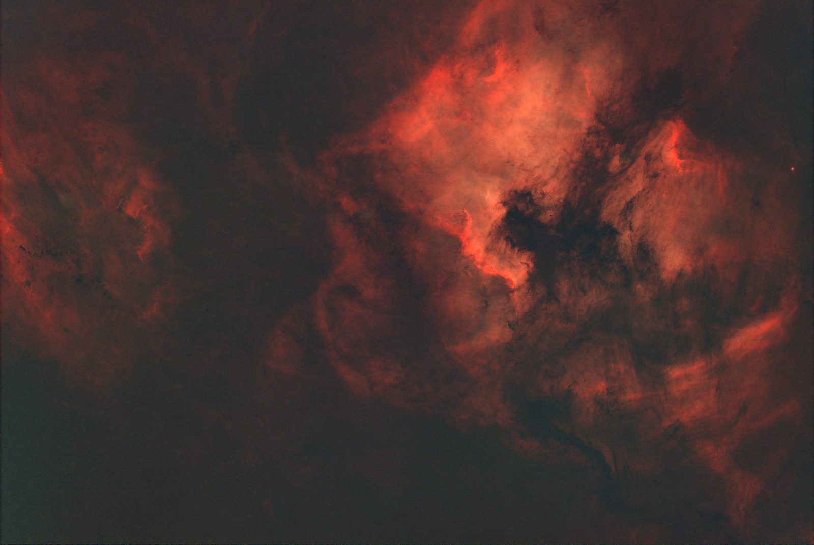 North America Nebula (NGC 7000), starless